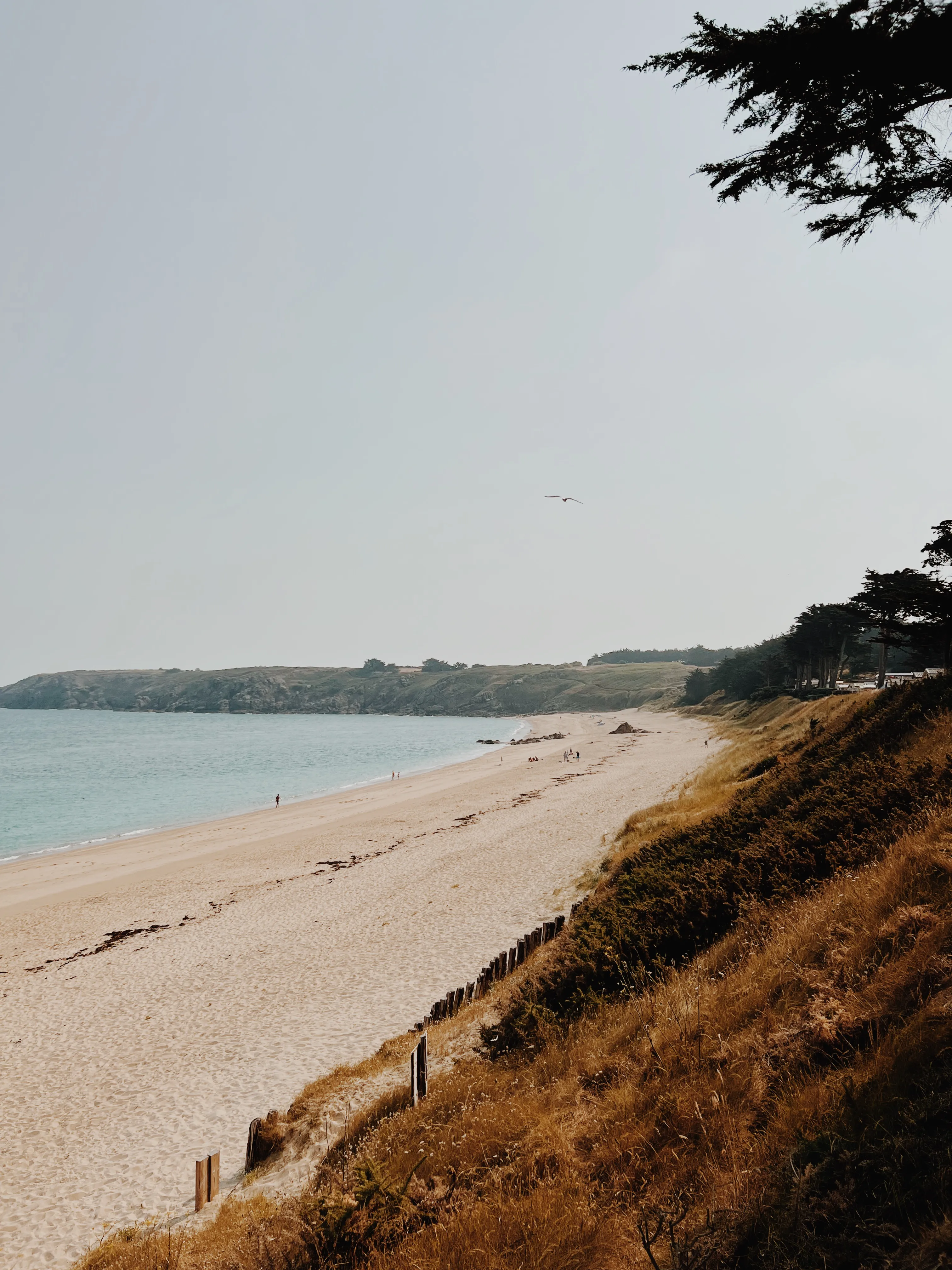 La plage des Chevrets et ses dunes sous le ciel breton
